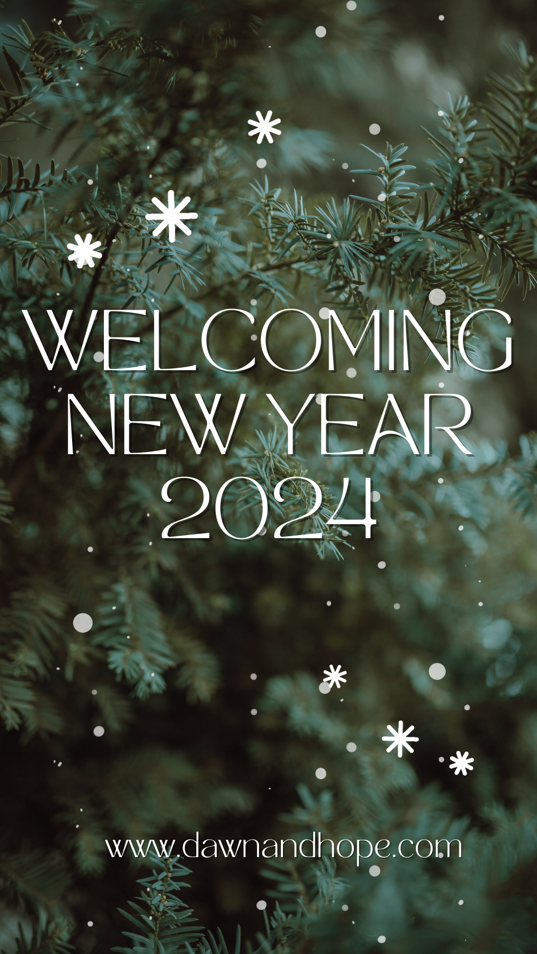 Read more about the article استقبال از سال جدید 2024 |  سحر و امید