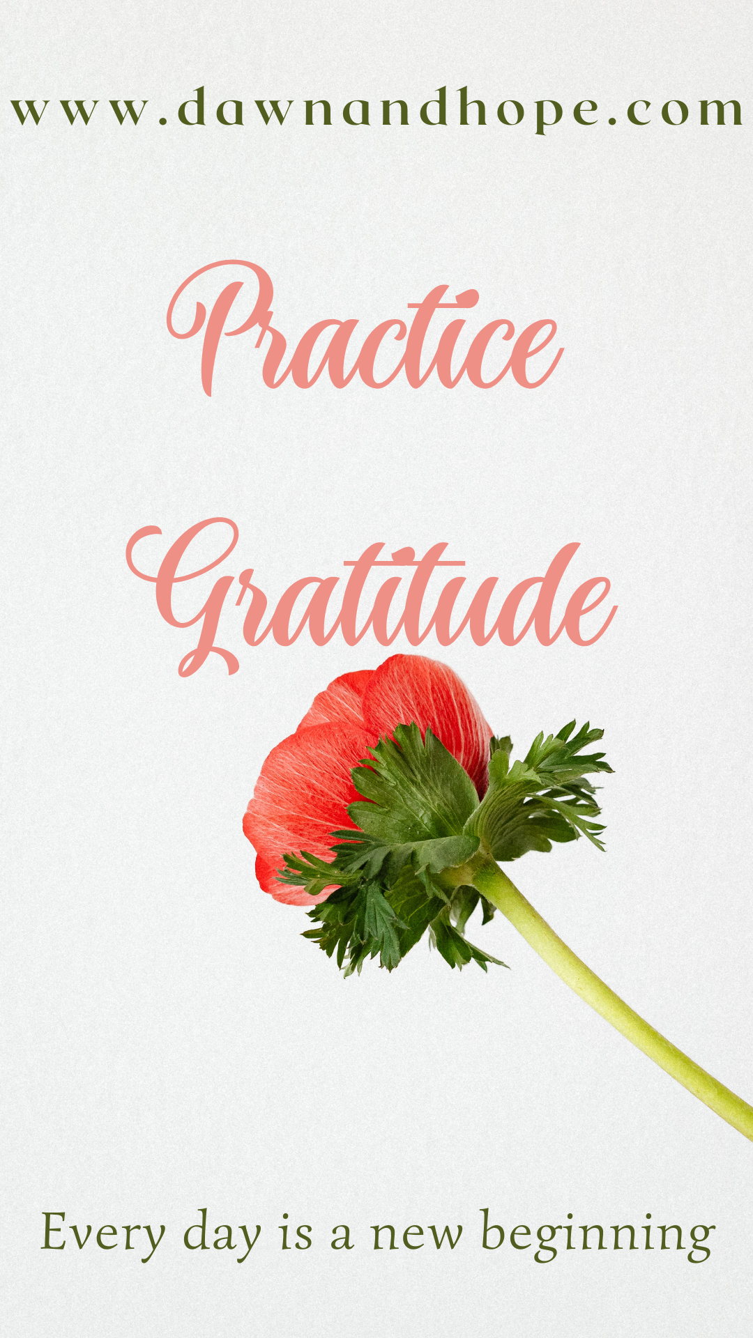 Want to be happy? Practice gratitude. | Dawn and Hope